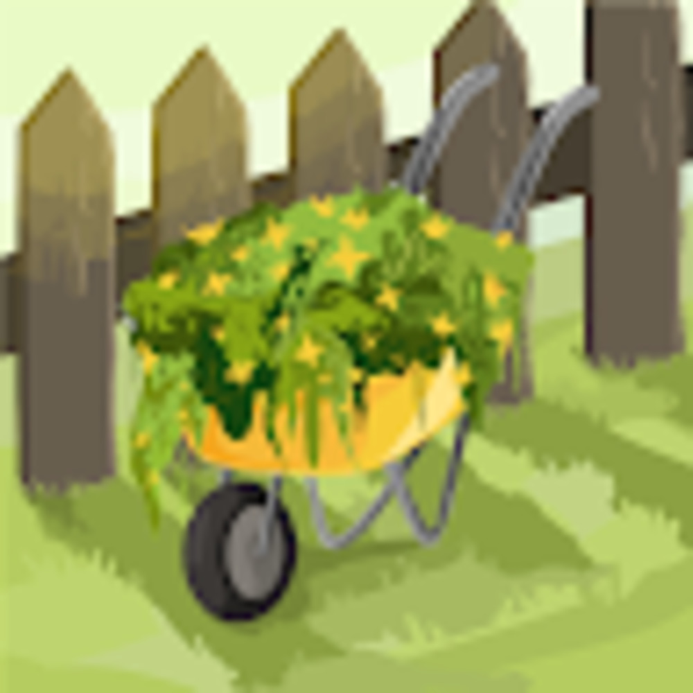 Meet your Posher, Zeev